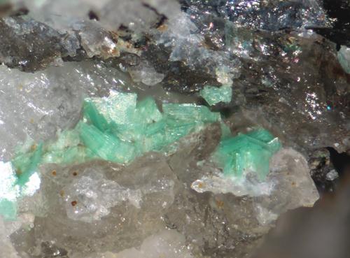 Metatorbernite