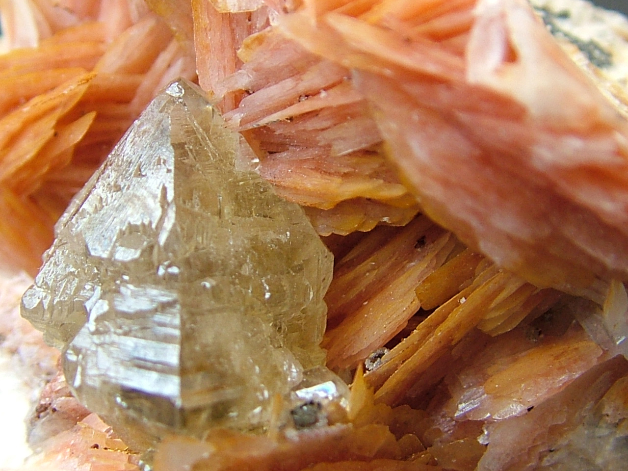 Cerussite On Baryte