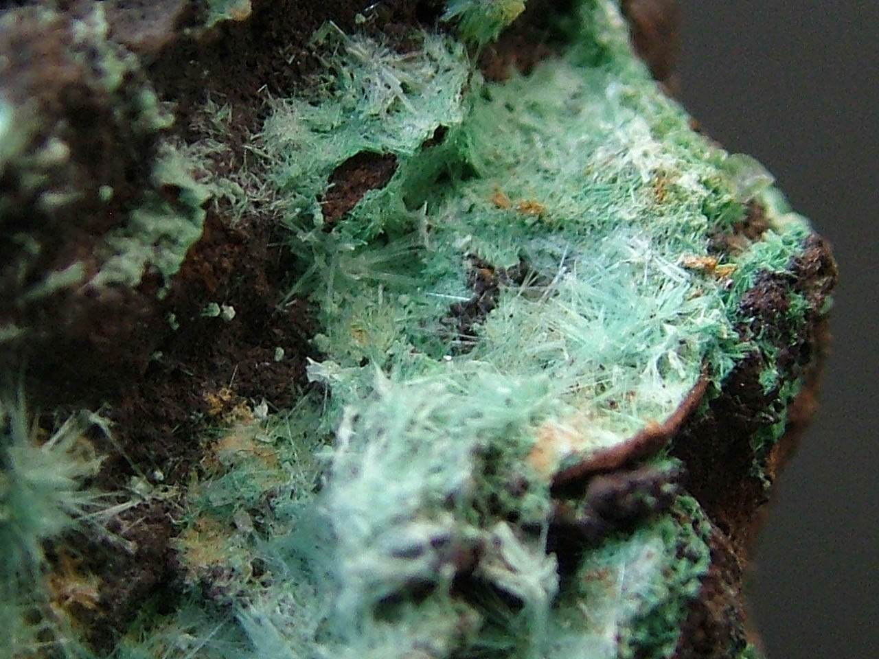 Aurichalcite