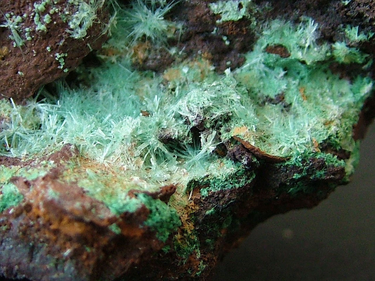 Aurichalcite