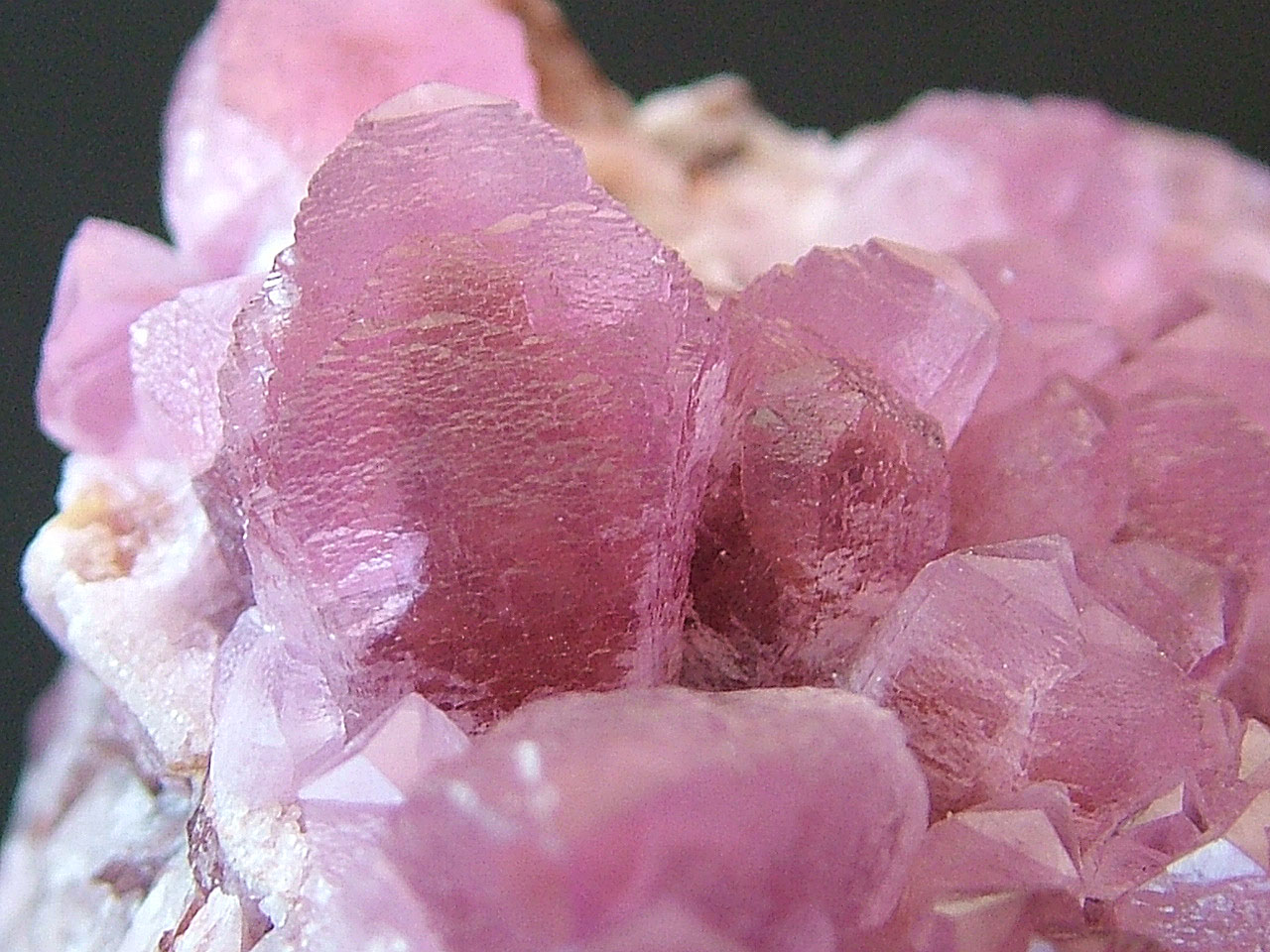 Cobaltoan Calcite