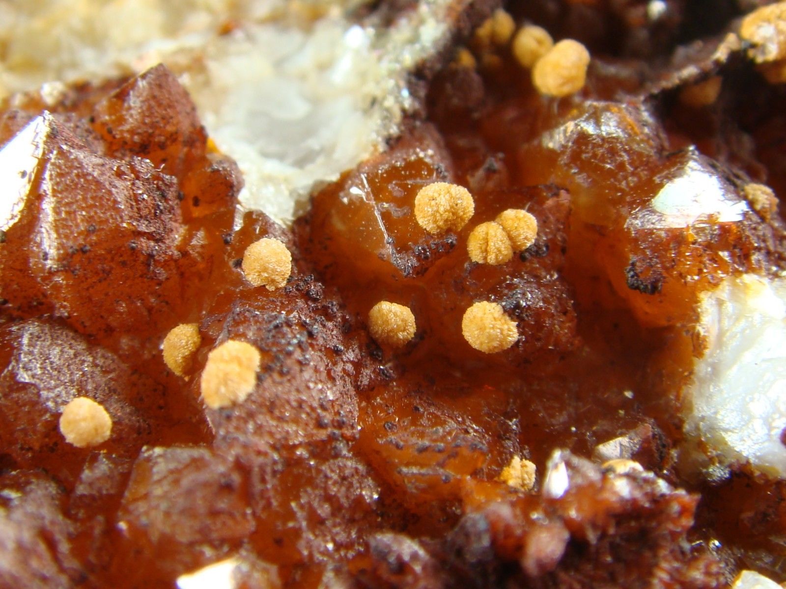 Strengite On Citrine