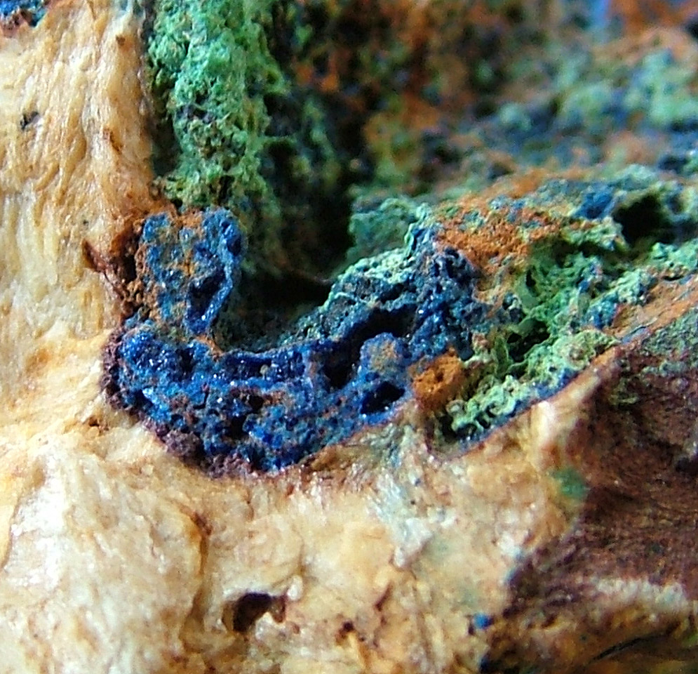 Azurite With Malachite