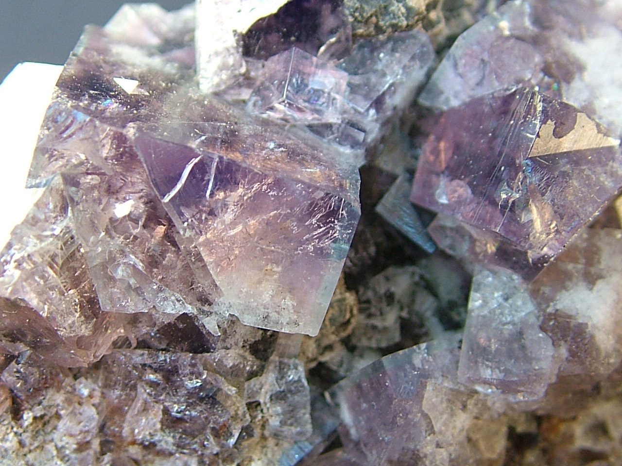 Fluorite With Galena