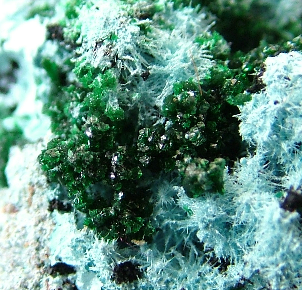 Plancheite & Malachite