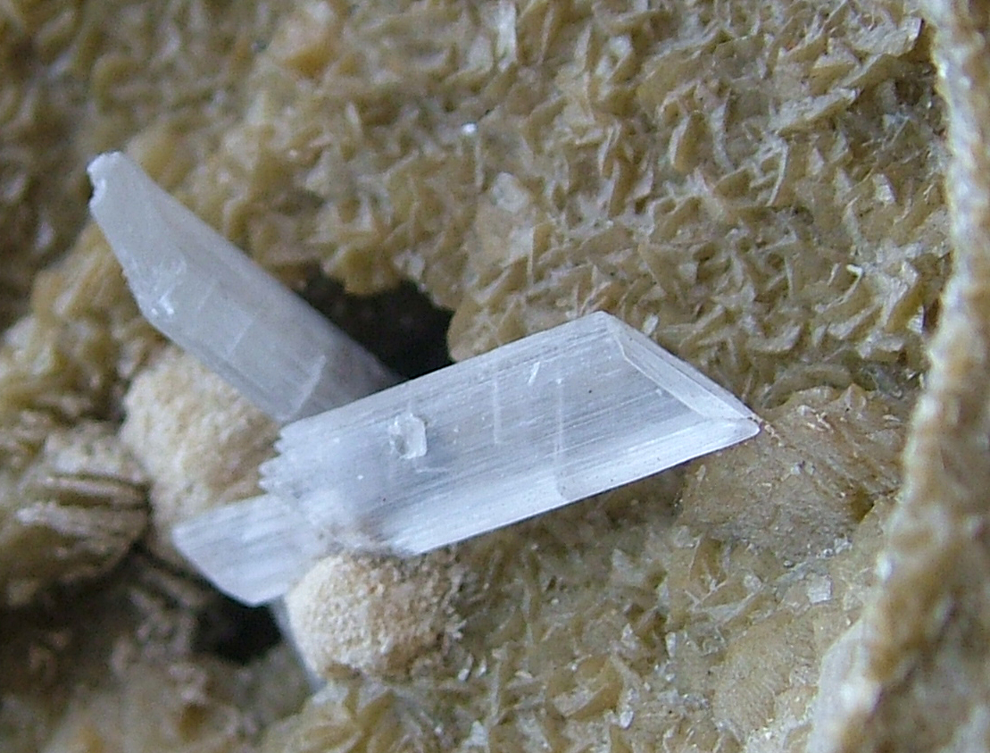 Selenite On Siderite With Calcite
