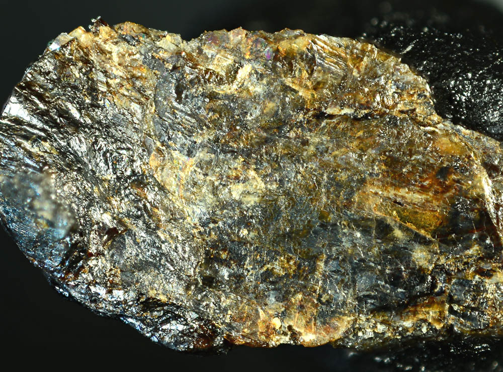 Innelite