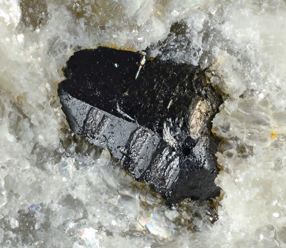 Tantalowodginite