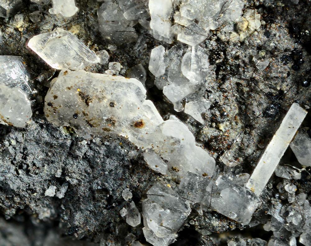 Brandholzite