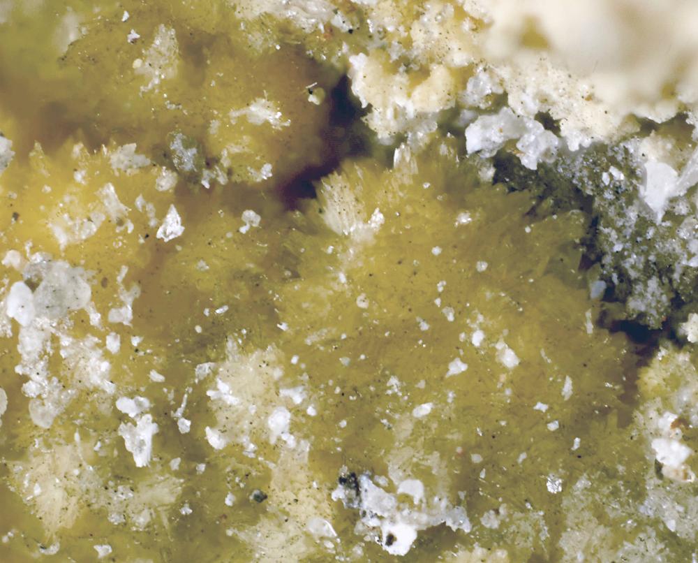 Dickthomssenite