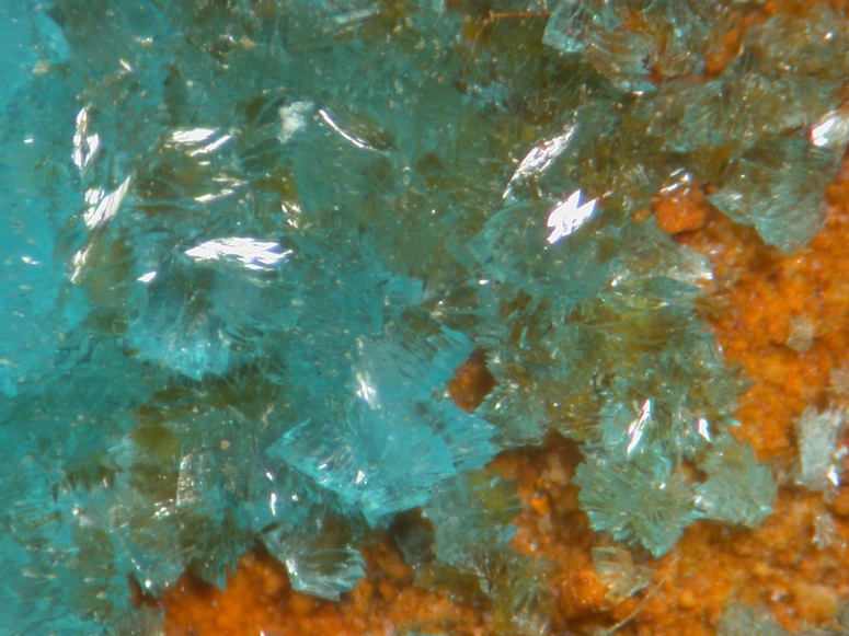 Turquoise & Wardite