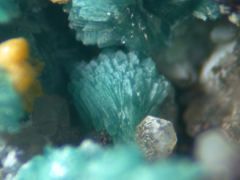 Chalcosiderite & Cyrilovite