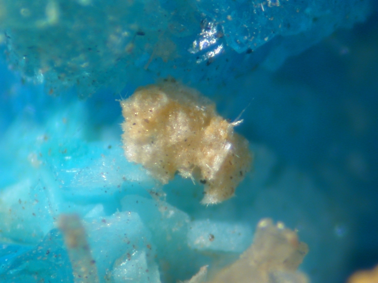 Boothite Chalcanthite & Gypsum