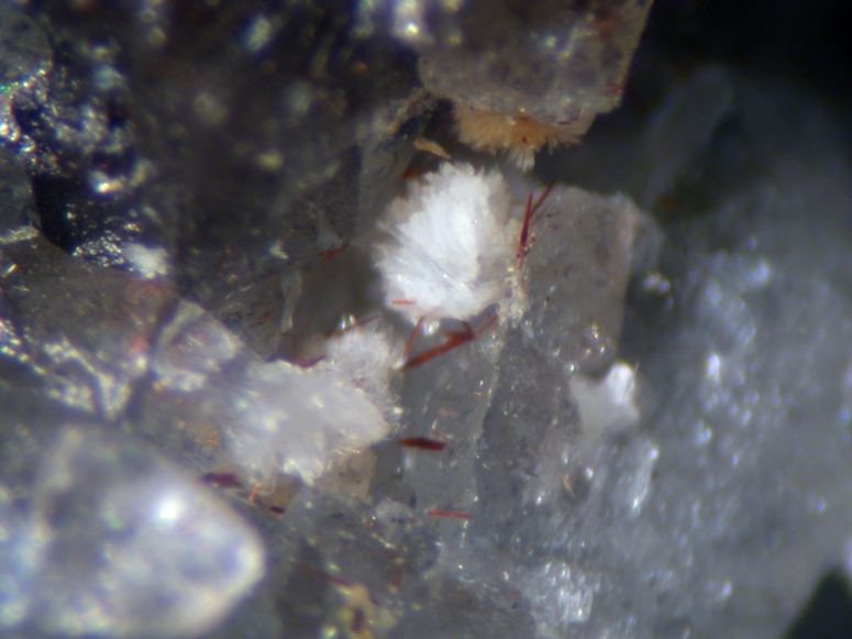 Martinite Erdite Sazhinite-(Ce) & Ussingite