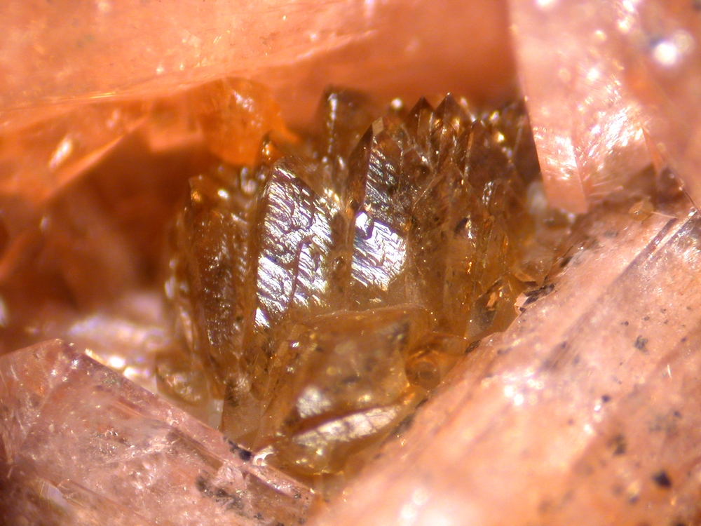 Correianevesite & Hureaulite