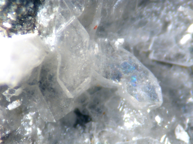 Penfieldite & Fiedlerite