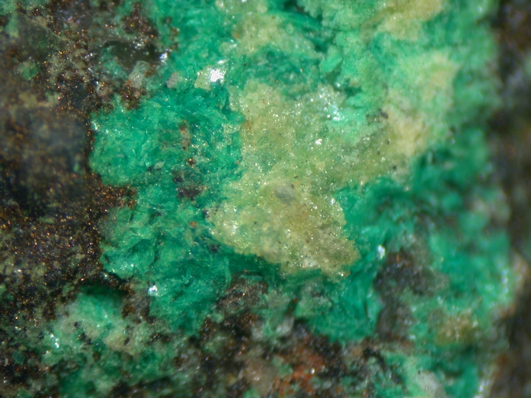 Voglite & Metazellerite