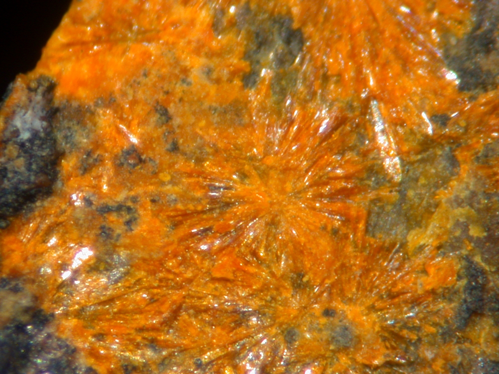 Metavandendriesscheite