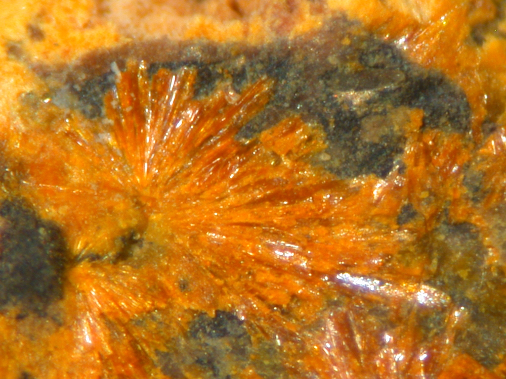 Metavandendriesscheite