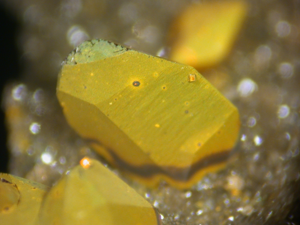 Greenockite On Sphalerite