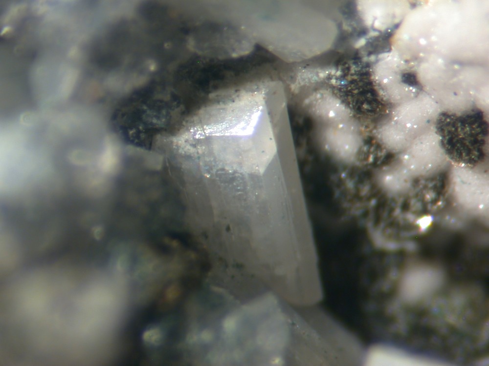 Tsepinite-Na