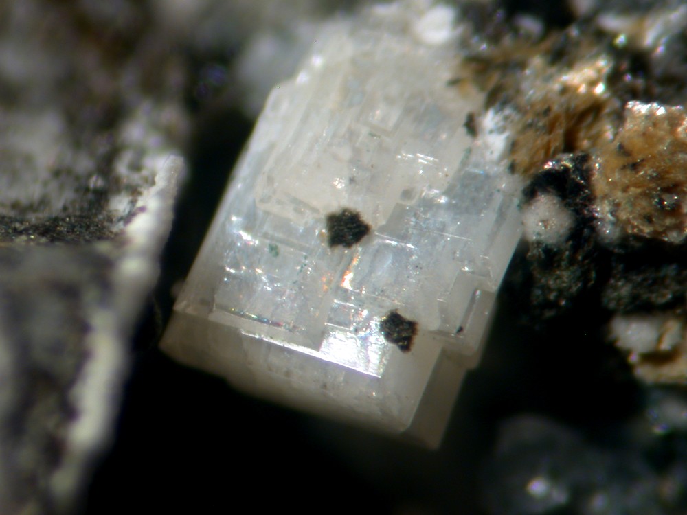 Tsepinite-Na
