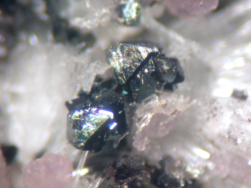 Fluorite Willemite Hetaerolite & Rhodochrosite