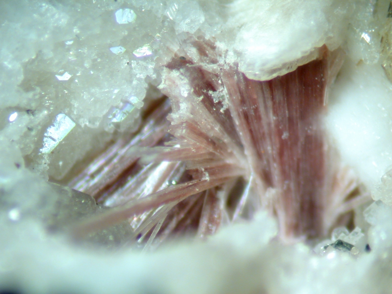 Ashcroftine Monteregianite Turkestanite & Narsarsukite