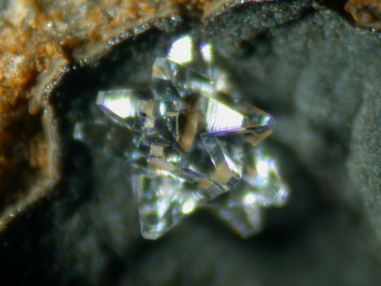 Tschernichite