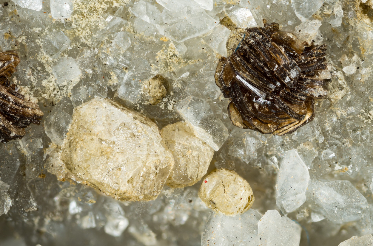 Metaswitzerite & Eucryptite
