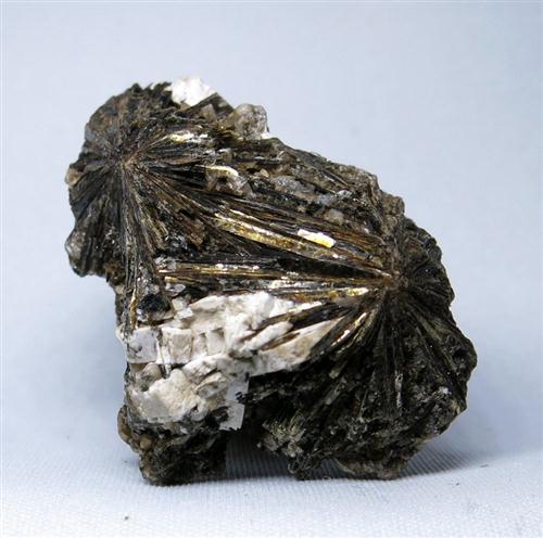 Astrophyllite