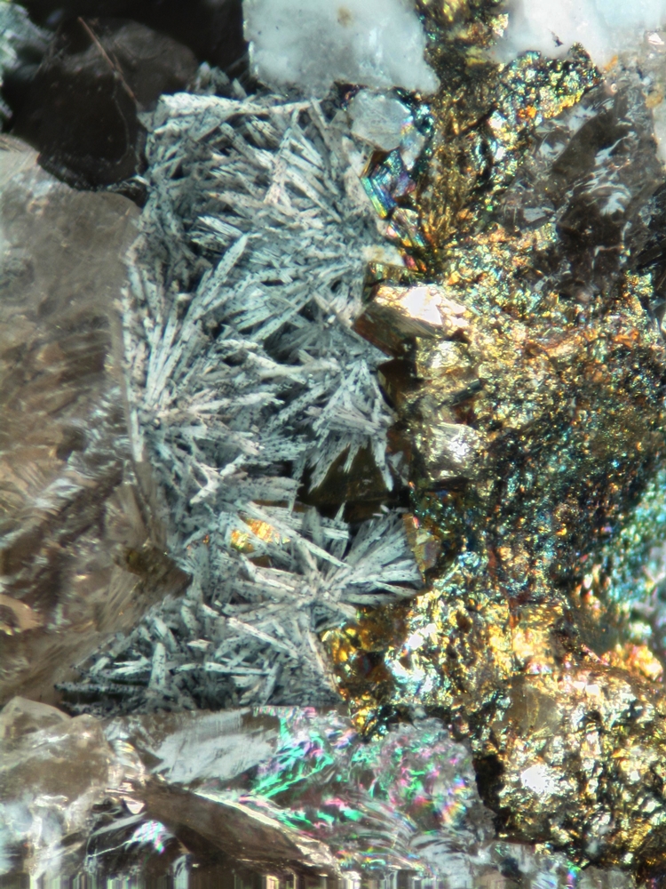 Rémondite-(Ce) & Pyrite