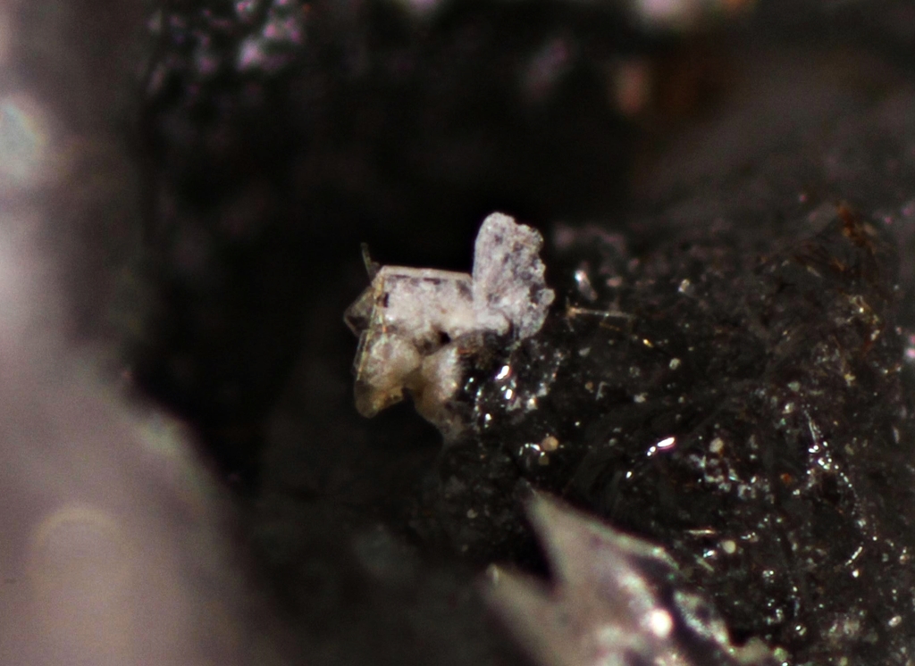 Martinite Sazhinite Erdite