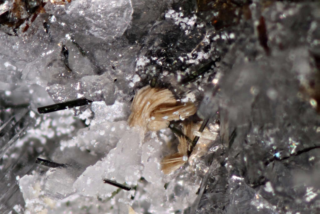 Elpidite Cordylite-(Ce) Pyrite Anatase Astrophyllite & Natrolite