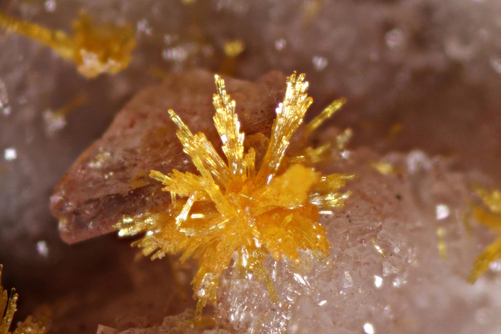 Mimetite