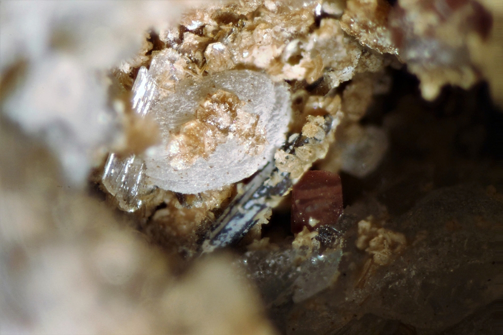 Petarasite Manganoneptunite & Gaidonnayite