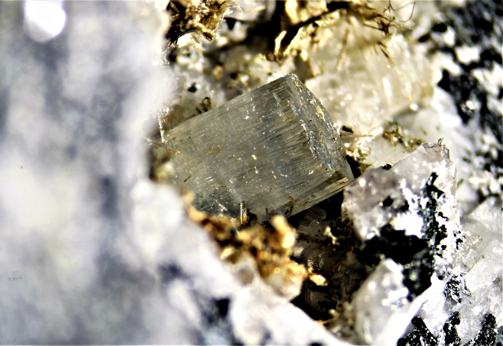 Leucosphenite & Tuperssuatsiaite