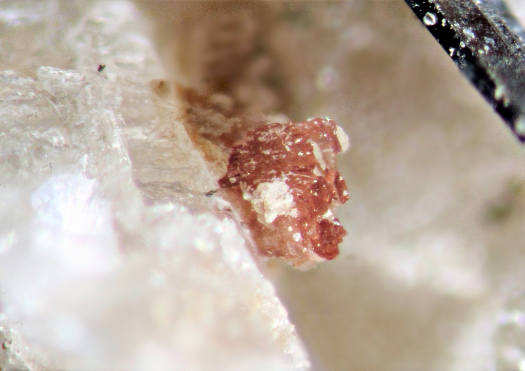 Petarasite