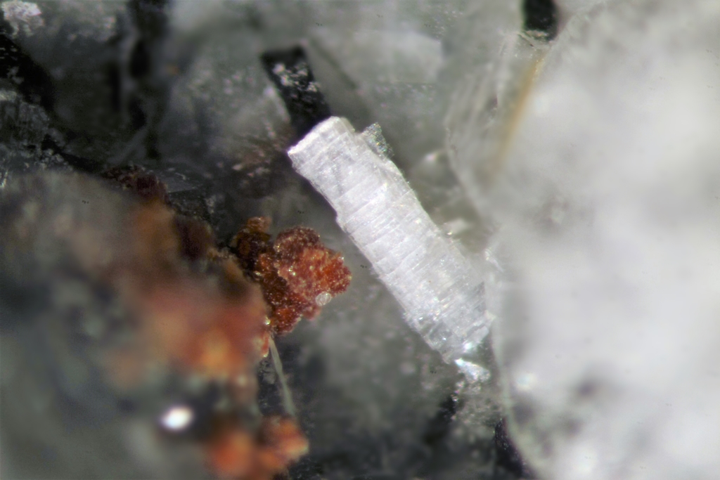 Unnamed (Sazhinite-related mineral I) & Unnamed (Fe-analogue of Zakharovite)