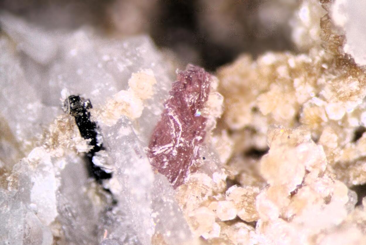 Petarasite