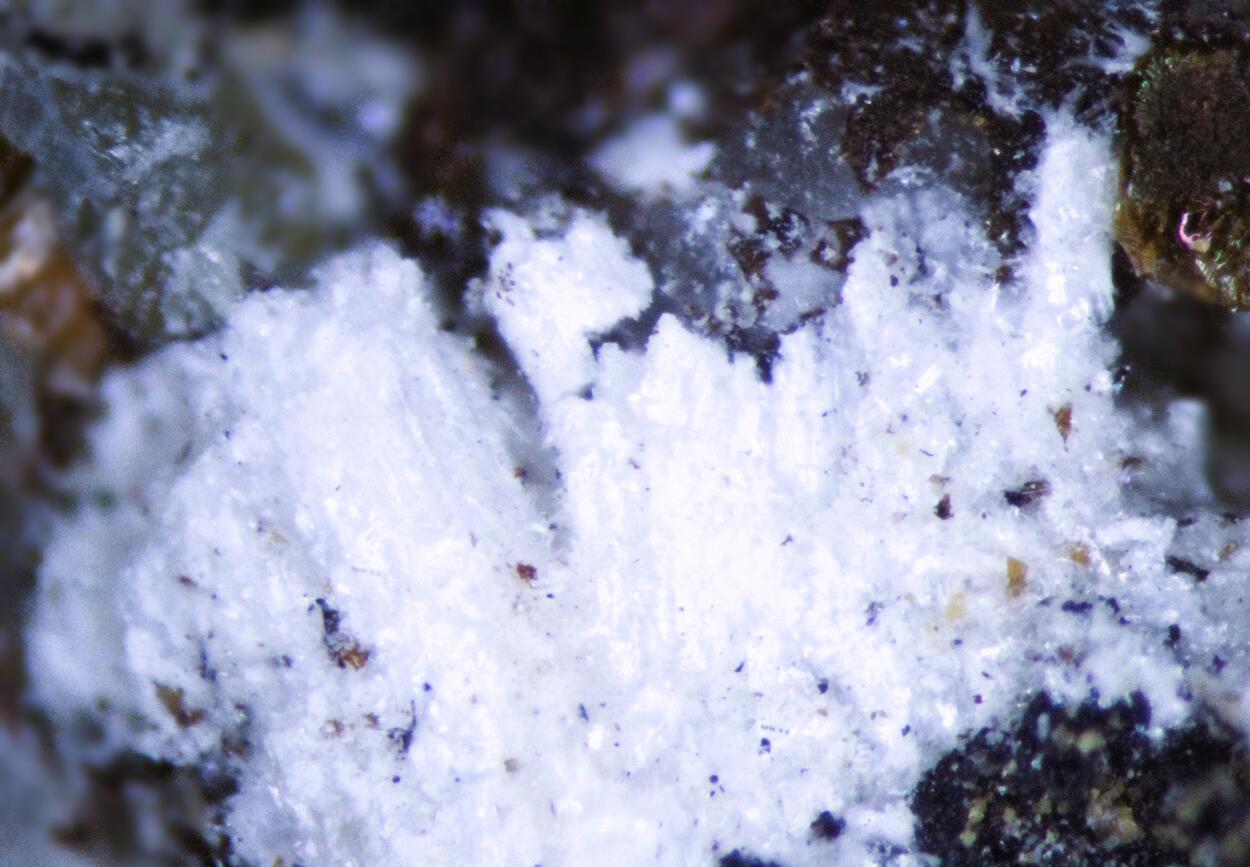 Petersenite-(Ce) Adamsite-(Y) Shomiokite-(Y) & Sérandite