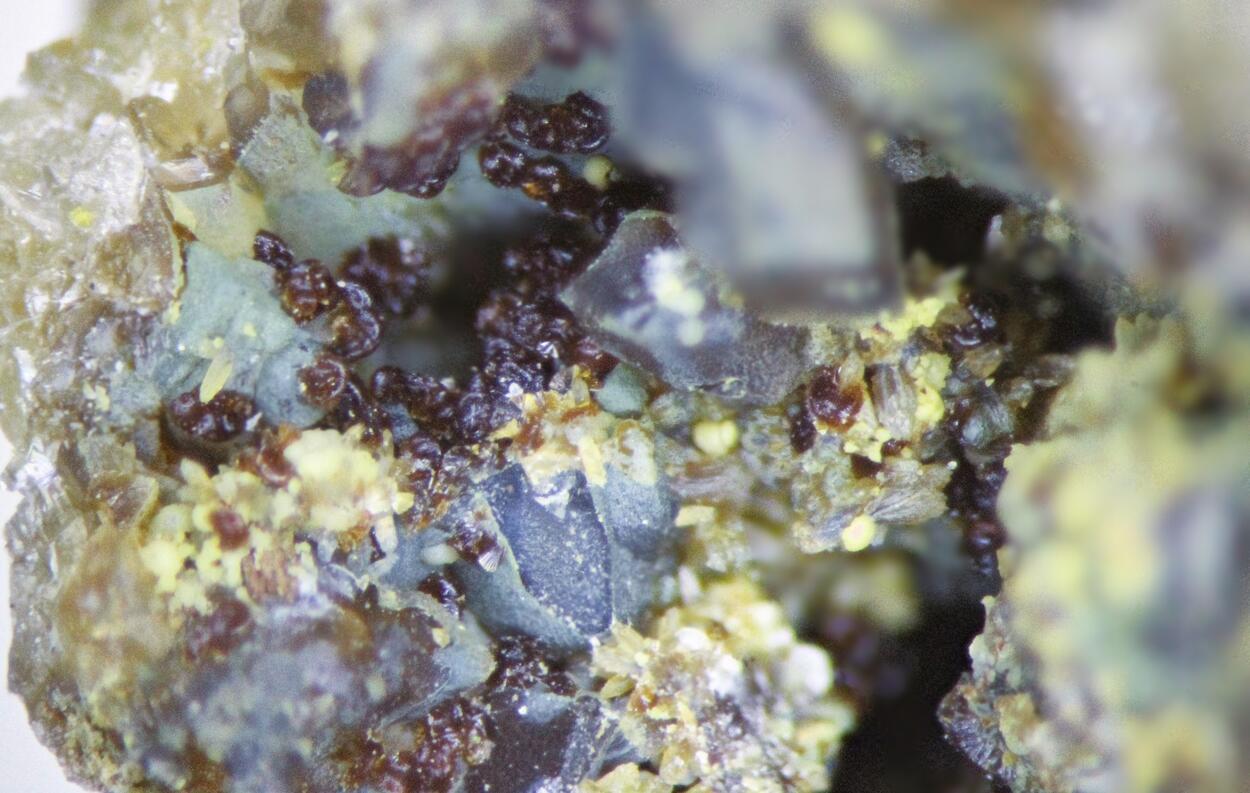Whitmoreite