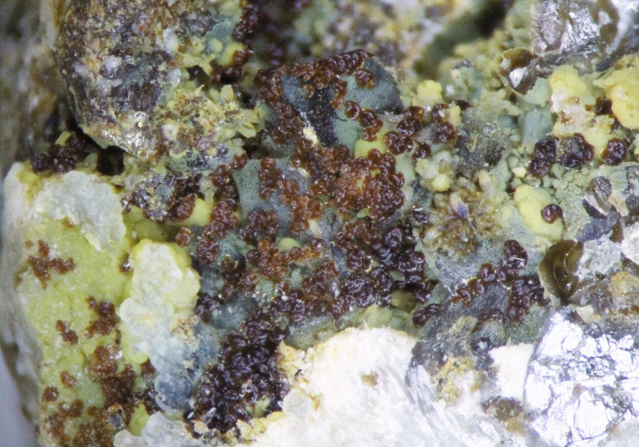 Whitmoreite