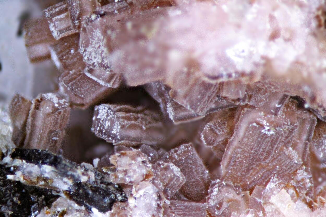 Nenadkevichite Leucophanite Sérandite Polylithionite & Aegirine