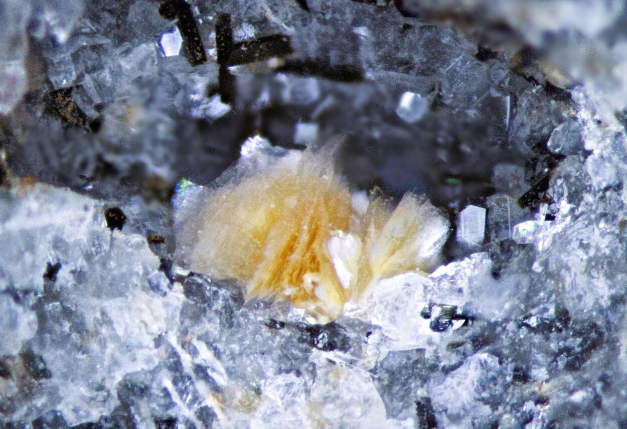 Polylithionite