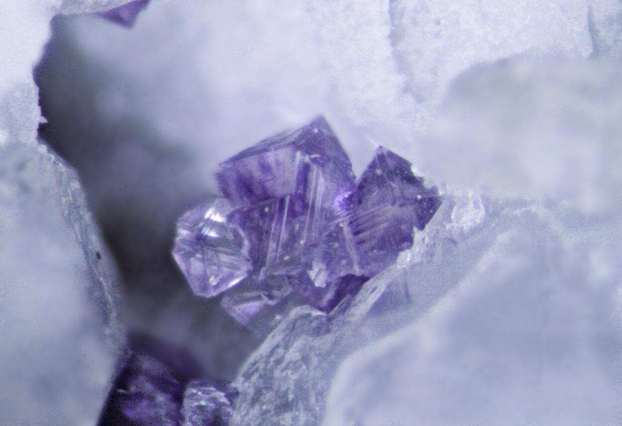 Fluorite & Amphibole