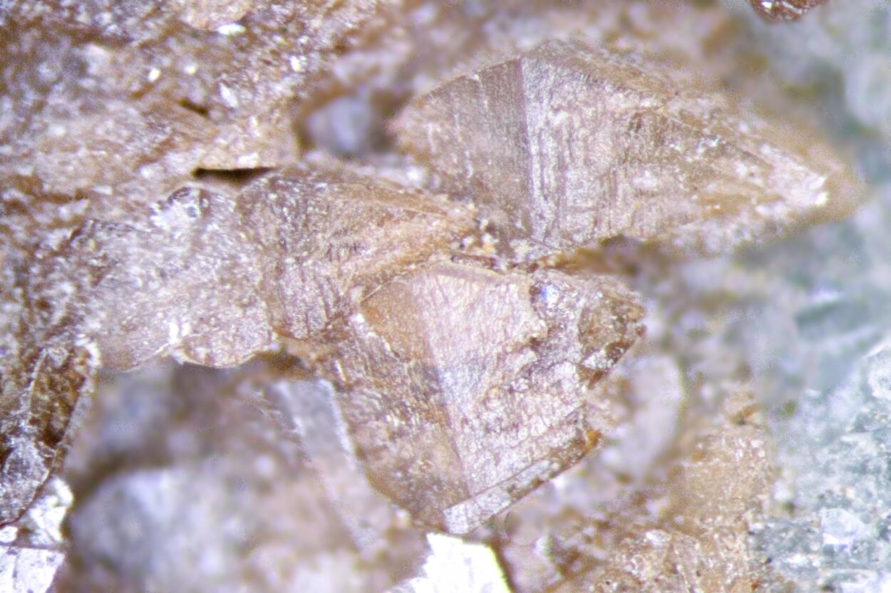 Phosphoferrite Ludlamite & Vivianite