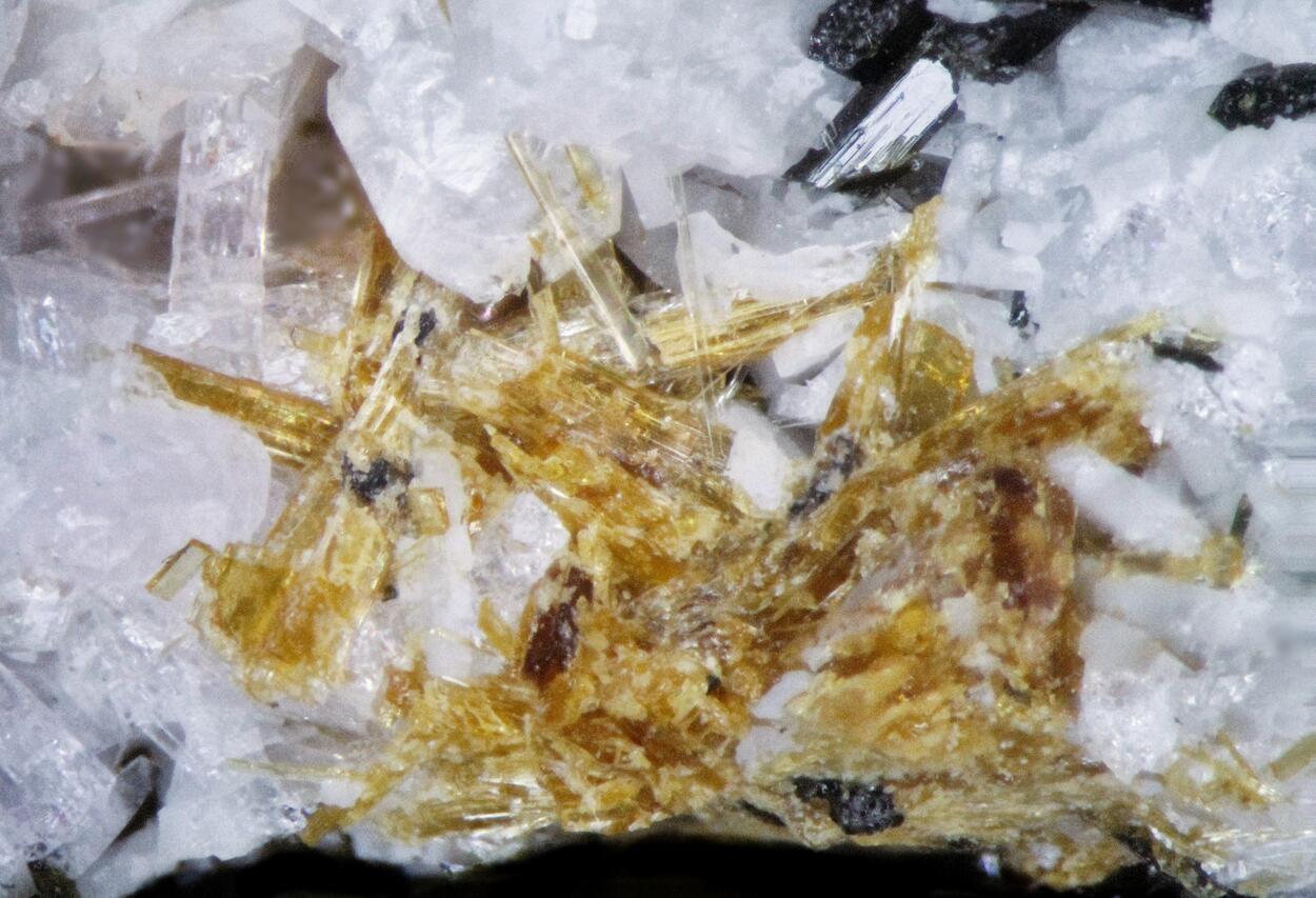 Lamprophyllite & Cancrisilite