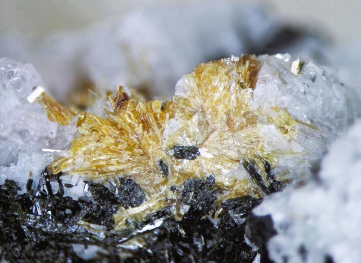 Lamprophyllite & Cancrisilite