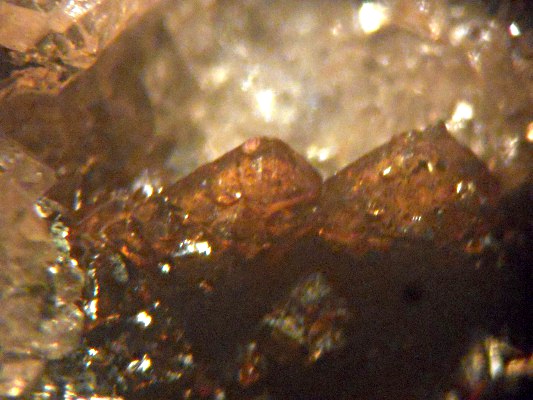 Correianevesite